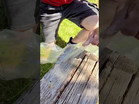 🔫 Parkside 12V Cordless Nailer/Stapler: Your New Secret Weapon! 🌟💥