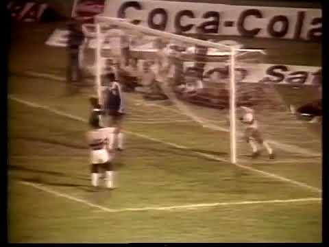 Santa Cruz 2 x 2 Palmeiras - Brasileiro 1980