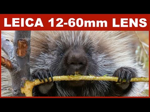 Leica12-60mm Lens with Lumix G9