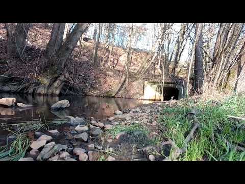 Ansitz angeln an Bach auf döbel-monster-erfolg