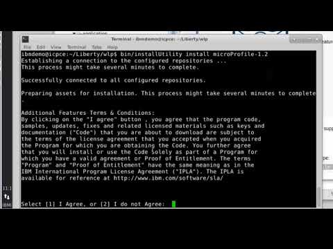 Introduction to WebSphere Liberty