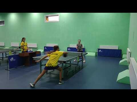 настольный теннис Александрия, 22.08.2020, Алексеенко Vs Пащенко