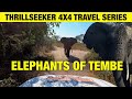 TEMBE ELEPHANT PARK