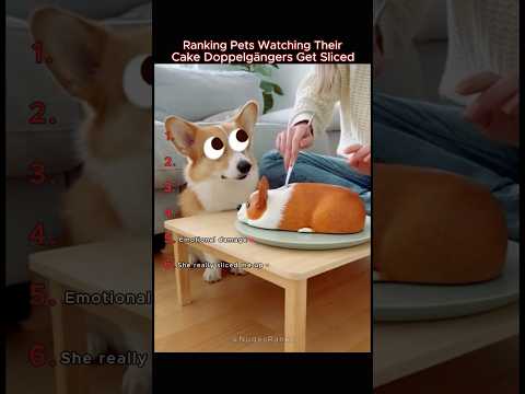 RANKING Pets See Their Cake Version Get Cut 😭#petreactions #cakeprank #viralreaction #funny