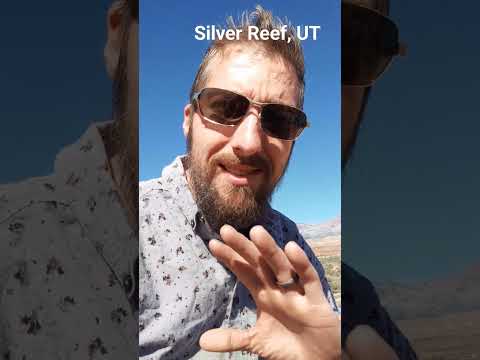 Silver found in sandstone?! #silver #preciousmetals #prospecting