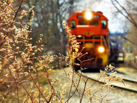 Spring Time Chase 2020: Part II