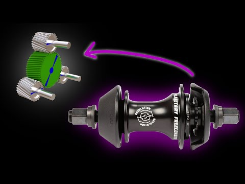 Honest Experience with the BSD Revolution (BSD Revolution Review)