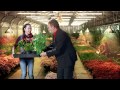 E On Commercial Flower Woman 2013