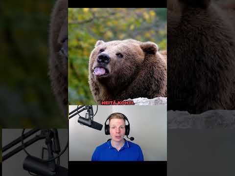He ryömivät karhun luolaan 😰🐻