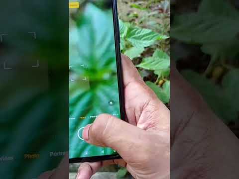 Redmi Note 10 Pro Camera Settings 😎 Macro Camera Testing #shorts