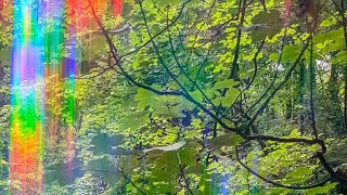 Friday Ascension Update – The Golden Robe