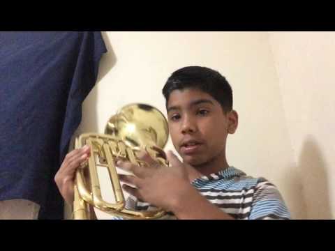 Tutorial #1(Baritone Caring