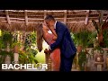 Grant Ellis PROPOSES To Juliana Pasquarosa On The Bachelor Season Finale