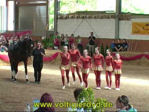 Süddeutsche Meisterschaft 2010 - Juniorteams 01 VFZ-Mainz-Ebersheim II Junior