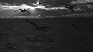 Hilary Woods – “Burial Rites”