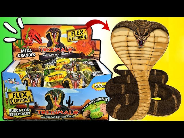 Vídeo relacionado con YSTJKD 3D Impreso Serpiente Articulado Juguete, 2 Juguetes 30cm Juguetes De Animales Impresos En 3D, Juguetes Flexibles De Serpientes Fidget Juguetes para Niños con Autismo(Morado, Negro)
