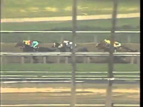 1994 Santa Anita Handicap