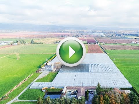 SOLD • 13444 McKechnie Road