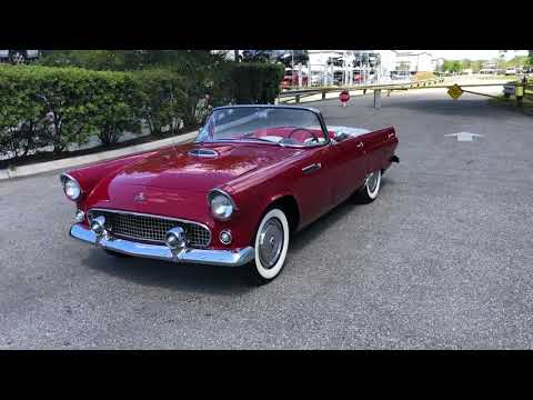 1955 Ford Thunderbird (CC-1448434) for sale in Palmetto, Florida