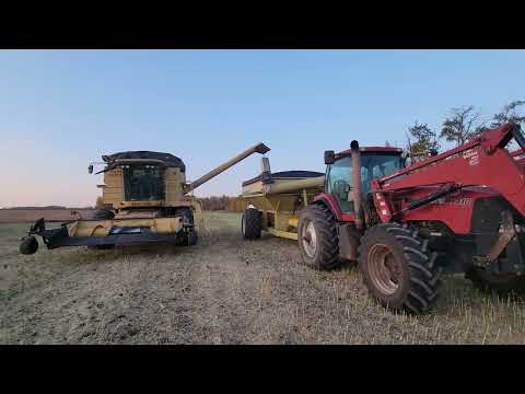 Harvest 23 Is a Wrap....Wheat Oats And Canola!!