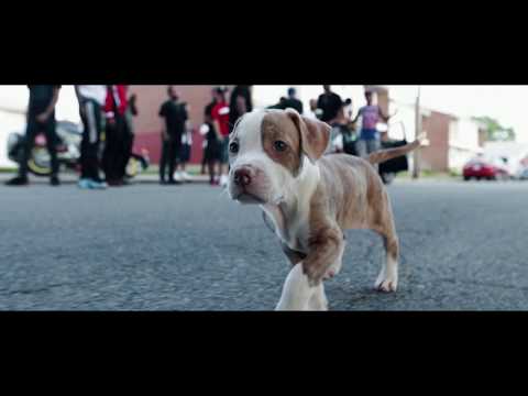 Rocky Rich-Block Hot