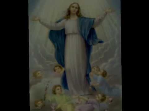 Zdravo Mario - Mjesovito crkveni zbor nadžupe Uznesenja BDM - Pag