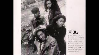 Aswad ''Rainbow Culture''