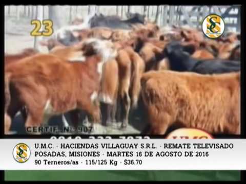 16-08-16 - REMATE TELEVISADO U.M.C. &  HACIENDAS VILLAGUAY S R L