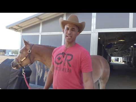 Road To The Futurity Episode 5