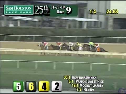 2019 Houston Ladies Classic - Midnight Bisou