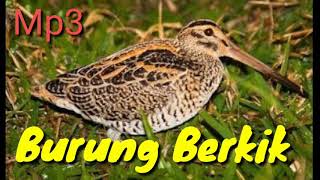 Download lagu Mp3 Burung Berkik Au Au,/Tiruk/pelung/burcet 100% Ampuh di jamin sukses mp3