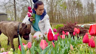 Rainy Day | Garden Work | Tea Break | Our Dinner | Heghineh