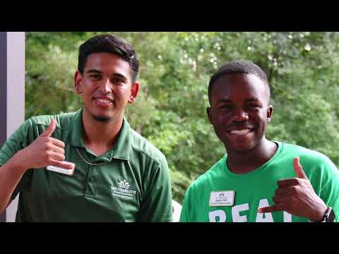 Welcome to Niner Nation!