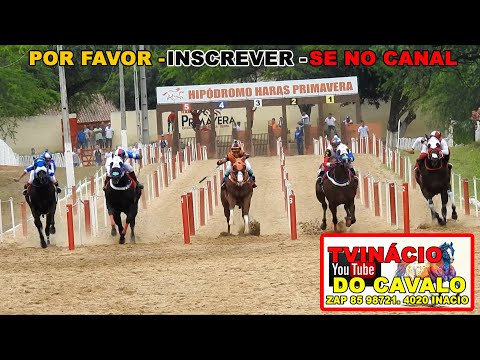 7 Páreo Final XV GP Haras Primavera - Canindé Ceará - 27 de Março de 2022