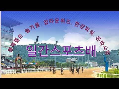 9/29-강태성-일간스포츠배 출일간스포츠배 출전마 분석(블랙벨트, 한강파워, 늘가을, 은파사랑, 업타운위즈)전마 분석(블랙벨트, 한강파워, 늘가을, 은파사랑, 업타운위즈)간스포츠배 출전마 분?