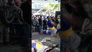 Download lagu Detik-Detik Kudho Praneso Ndadi #shorts #jaranan #kudhopraneso mp3