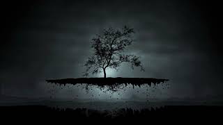 Klaus Schulze - Nuff Said