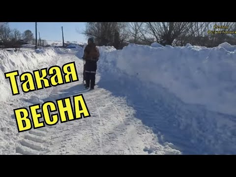 Как РАССТАВАТЬСЯ  с животными. ТРИ дня без ДОРОГИ./Семья Фетистовых