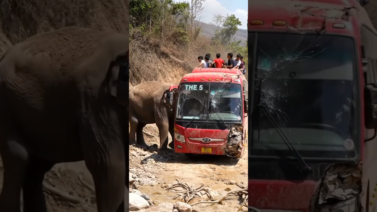 Elephant Pushes Bus Off Narrow Cliff Road | Insane AI Jungle Attack Goes Viral
