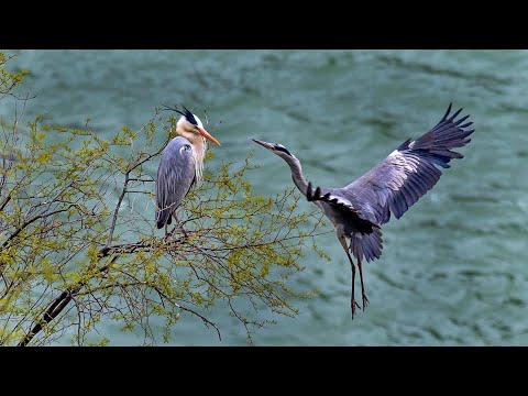 Mbaguarí, refugio de río en Villa del Rosario ER - Programa Paralelo Turístico 966 Bloque 03