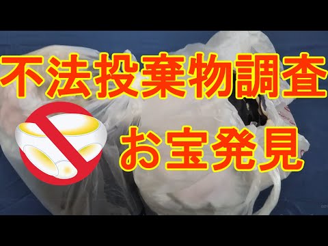ゴミ漁り下着掲示板J s盗撮312枚