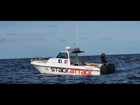 Solo Swordfish  - Stack Attack