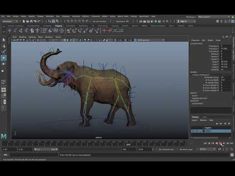 Elephant rigging