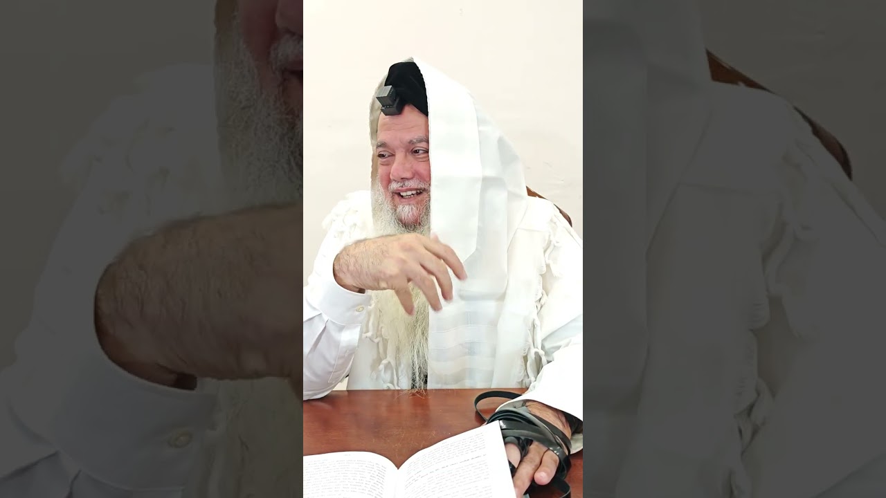 שער הביטחון | סבב שני - פרק 261