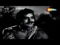 Veer Bhimsen 1964 Classic Action Movie वीर भीमसेन Dara Singh Mumtaz Movie Bazaar
