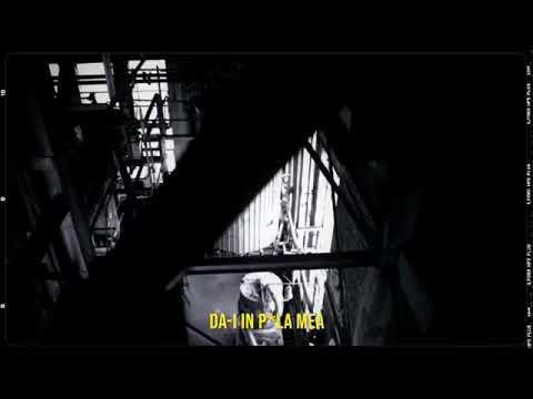 Ysl Eric x Goldbach - Colentina leak