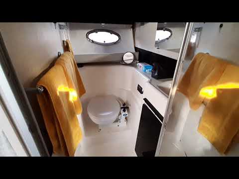 Bayliner 3450 Avanti 2