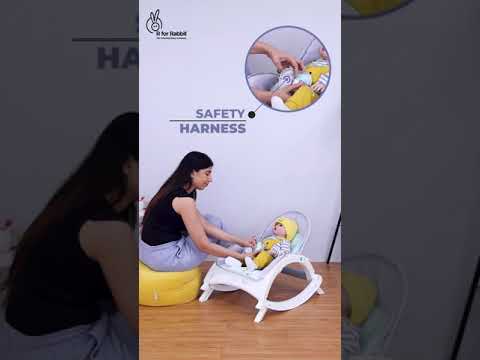 R for Rabbit Rock N Play Baby Rocker with Soothing Music and Vibration