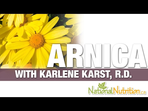 Arnica Montana Benefits in Muscle Aches & Pain - Supplement Review | National Nutrition Canada