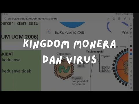 Kelas Inkuasi 013: Biologi - Kingdom Monera & Virus